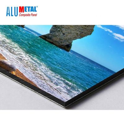 1250mm 8mm PE آلومینیوم کامپوزیت پانل آلومینیوم تخته پنل آینه سطح AA3003